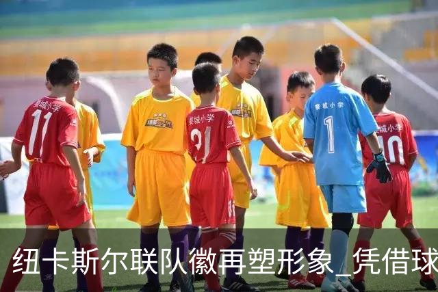 纽卡斯尔联队徽再塑形象 凭借球迷的力量走出新篇章