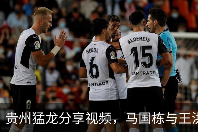 贵州猛龙分享视频，马国栋与王洪展现默契挑战成果